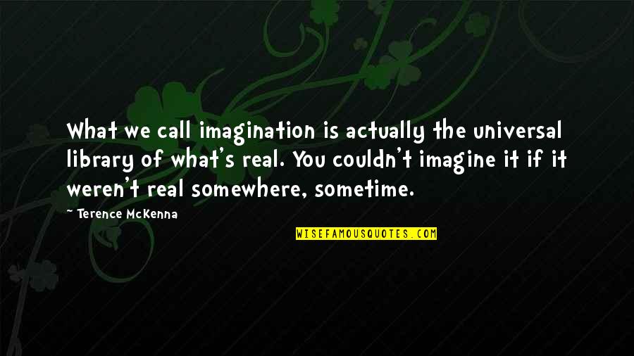 Dingleys Wharf Quotes By Terence McKenna: What we call imagination is actually the universal