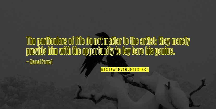 Dinglish Quotes By Marcel Proust: The particulars of life do not matter to Dinglish Quotes By Marcel Proust: The particulars of life do not matter to