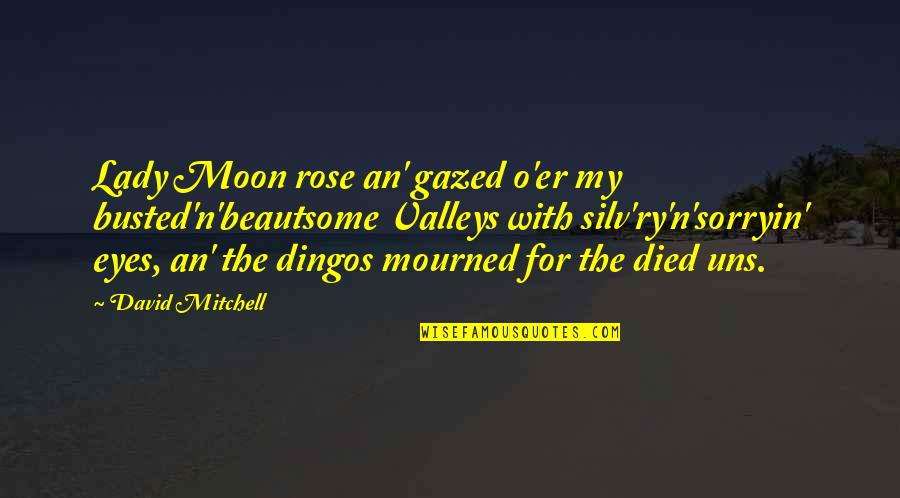 Dingos Quotes By David Mitchell: Lady Moon rose an' gazed o'er my busted'n'beautsome