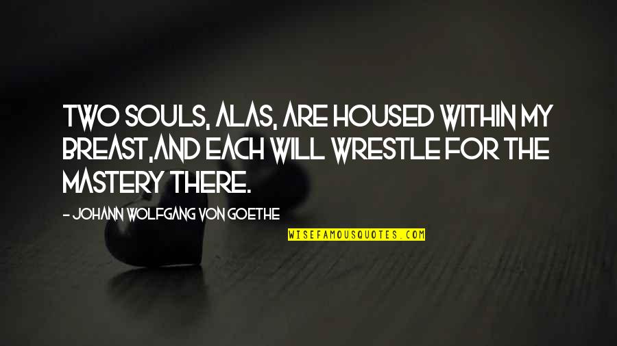 Dinh Van Quotes By Johann Wolfgang Von Goethe: Two souls, alas, are housed within my breast,And