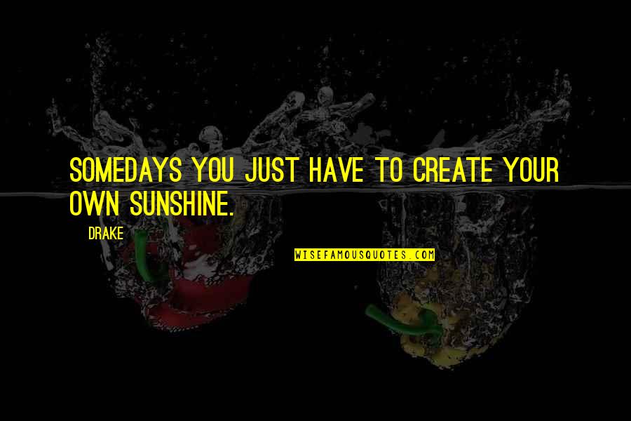Dinia Balls Quotes By Drake: Somedays you just have to create your own