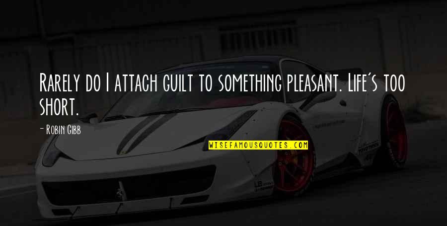 Dinkar Bhatia Quotes By Robin Gibb: Rarely do I attach guilt to something pleasant.