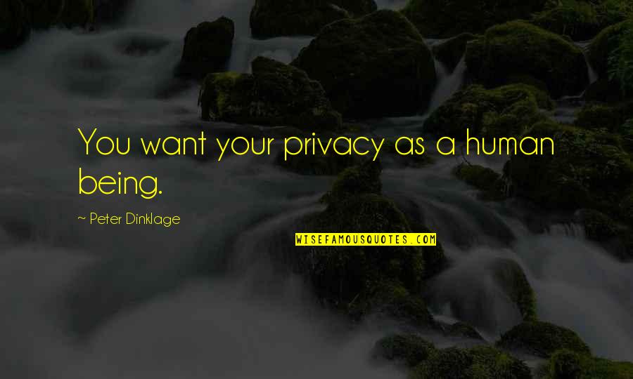 Dinklage Quotes By Peter Dinklage: You want your privacy as a human being.