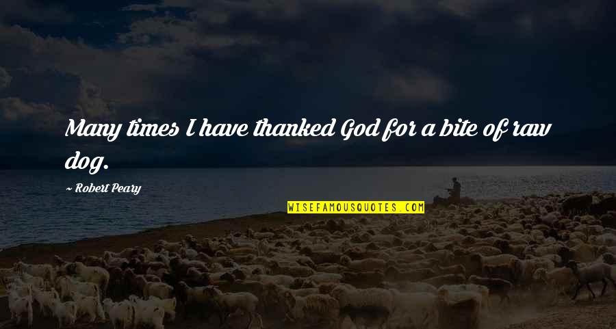 Dinkmeyer Parent Quotes By Robert Peary: Many times I have thanked God for a