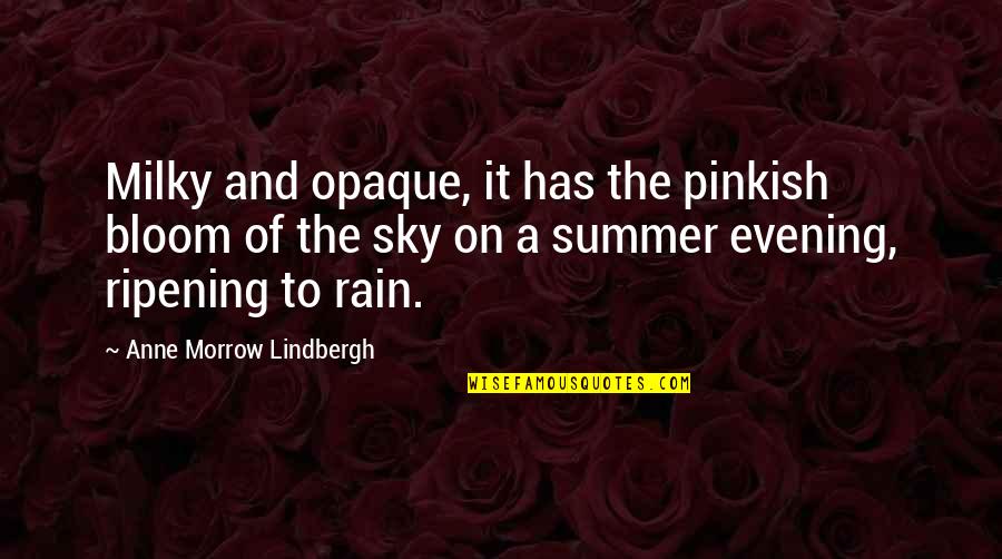 Dinkum Donuts Quotes By Anne Morrow Lindbergh: Milky and opaque, it has the pinkish bloom