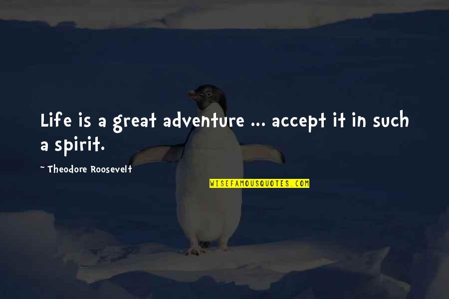 Dinnaken Quotes By Theodore Roosevelt: Life is a great adventure ... accept it