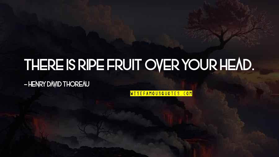 Dinnertime Quotes By Henry David Thoreau: There is ripe fruit over your head.
