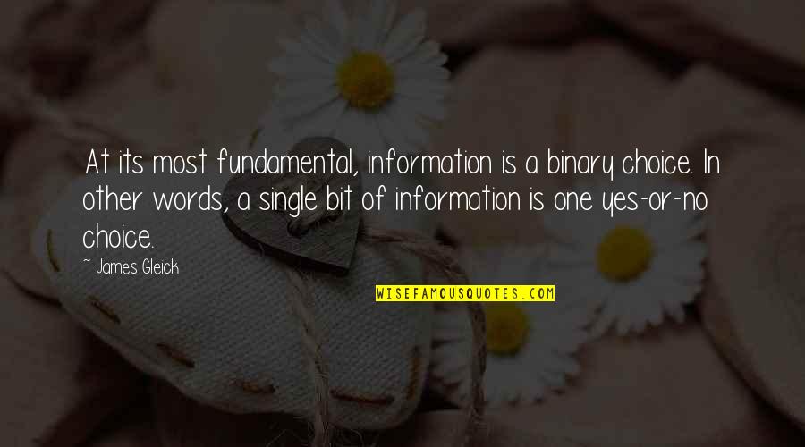 Dinnie Quotes By James Gleick: At its most fundamental, information is a binary