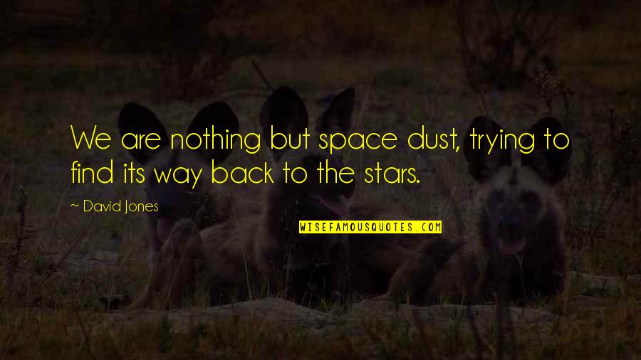 Dinosaur Fossil Quotes By David Jones: We are nothing but space dust, trying to