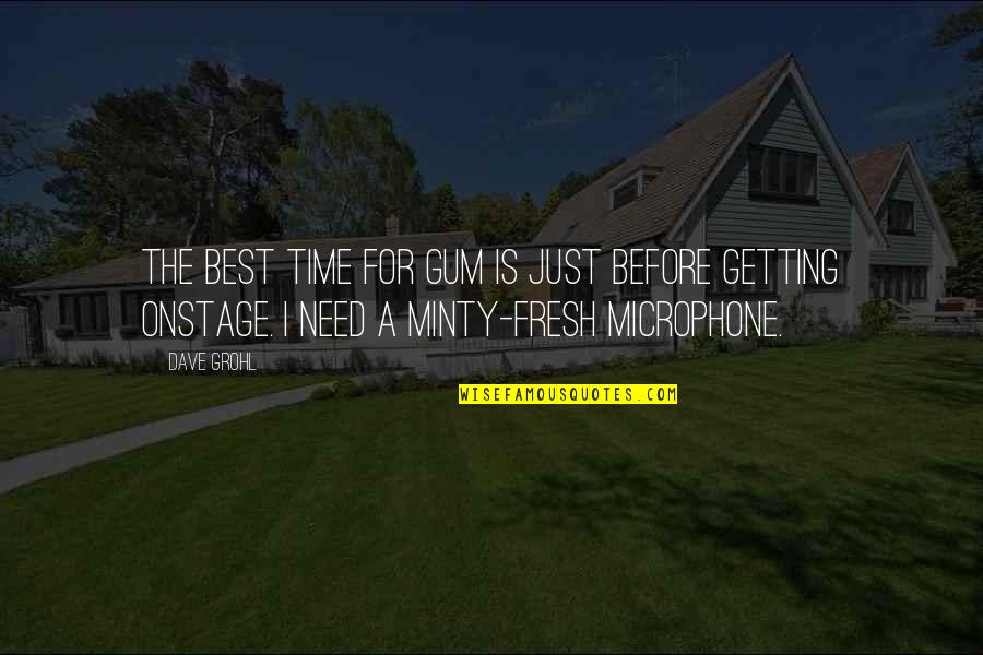 Dinte De Colorat Quotes By Dave Grohl: The best time for gum is just before