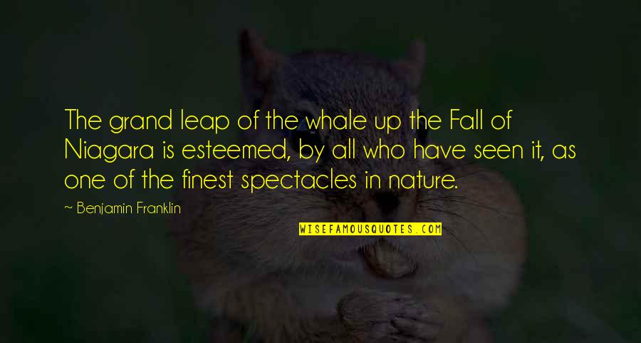 Dintii Din Quotes By Benjamin Franklin: The grand leap of the whale up the Dintii Din Quotes By Benjamin Franklin: The grand leap of the whale up the
