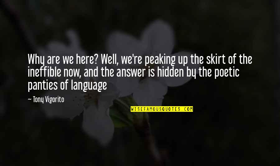 Dintii Umani Quotes By Tony Vigorito: Why are we here? Well, we're peaking up Dintii Umani Quotes By Tony Vigorito: Why are we here? Well, we're peaking up