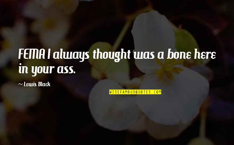Diocles Laser Quotes By Lewis Black: FEMA I always thought was a bone here Diocles Laser Quotes By Lewis Black: FEMA I always thought was a bone here