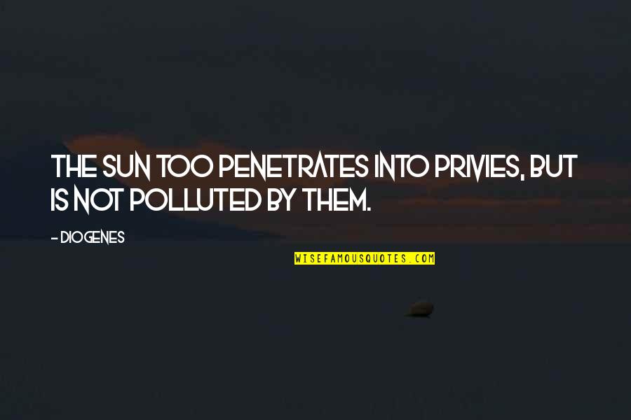 Diogenes|3213618 Quotes By Diogenes: The sun too penetrates into privies, but is