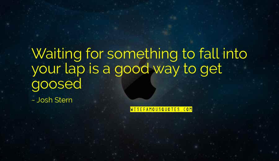 Dioptric Power Quotes By Josh Stern: Waiting for something to fall into your lap