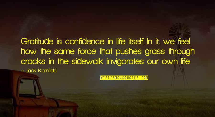 Diotrephes Pronunciation Quotes By Jack Kornfield: Gratitude is confidence in life itself. In it,