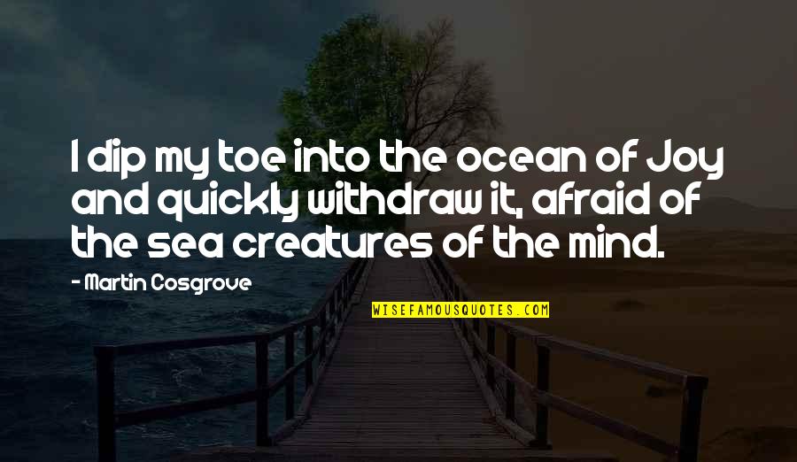 Dip In The Sea Quotes By Martin Cosgrove: I dip my toe into the ocean of