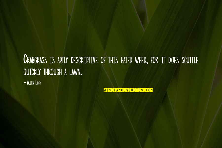 Diplodia On Pines Quotes By Allen Lacy: Crabgrass is aptly descriptive of this hated weed,