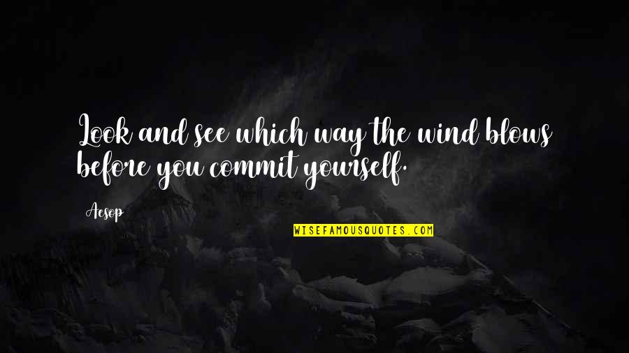 Diplomacy Quotes By Aesop: Look and see which way the wind blows