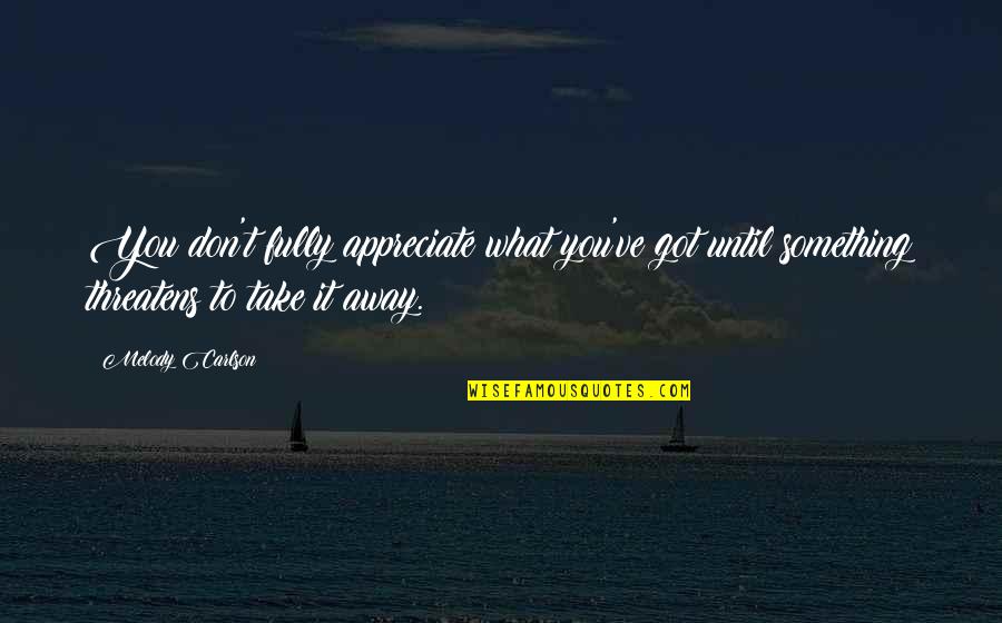 Diplomatic Passport Quotes By Melody Carlson: You don't fully appreciate what you've got until Diplomatic Passport Quotes By Melody Carlson: You don't fully appreciate what you've got until