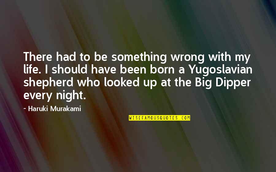 Dipper Quotes By Haruki Murakami: There had to be something wrong with my