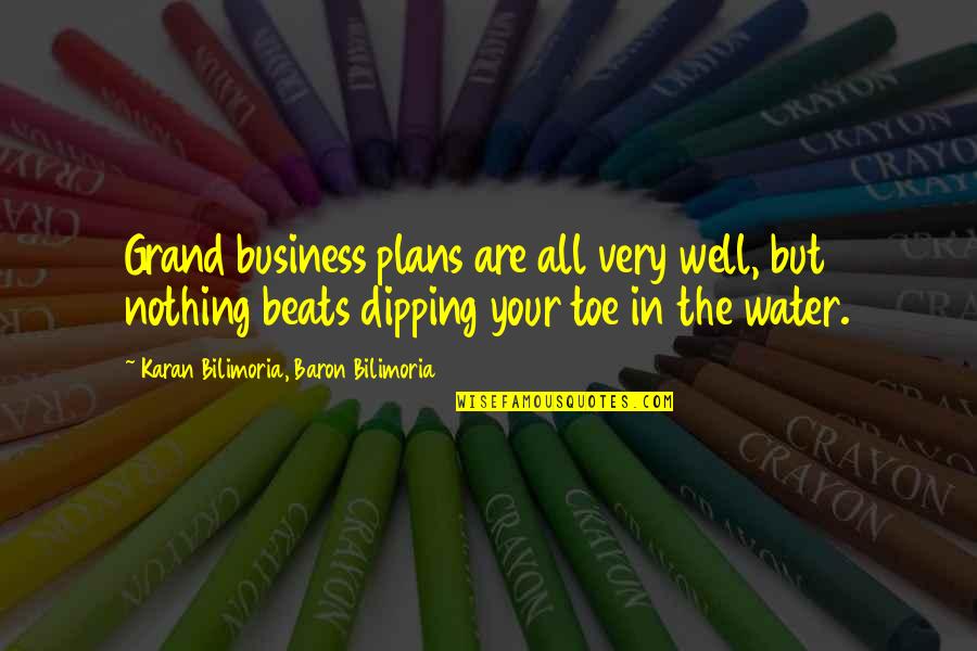 Dipping Quotes By Karan Bilimoria, Baron Bilimoria: Grand business plans are all very well, but