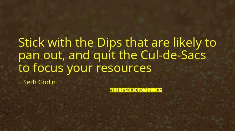 Dips Quotes By Seth Godin: Stick with the Dips that are likely to