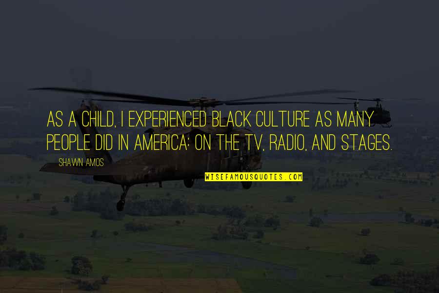 Diptych Art Quotes By Shawn Amos: As a child, I experienced black culture as Diptych Art Quotes By Shawn Amos: As a child, I experienced black culture as