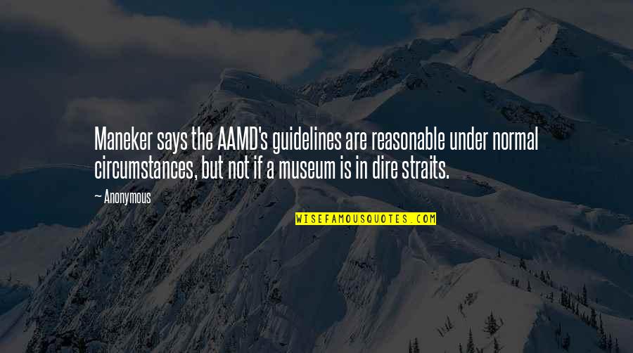 Dire Straits Best Quotes By Anonymous: Maneker says the AAMD's guidelines are reasonable under