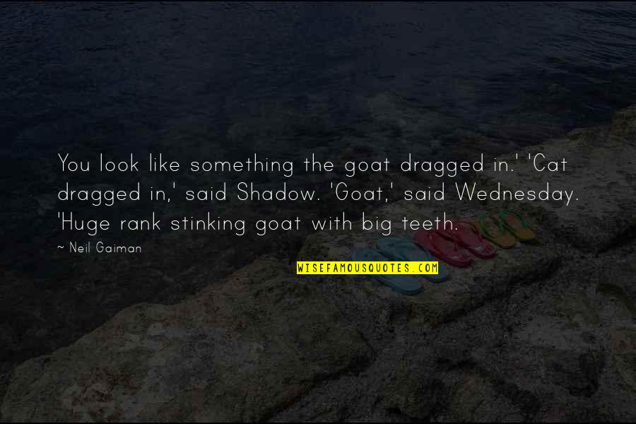 Dire Straits Music Quotes By Neil Gaiman: You look like something the goat dragged in.'