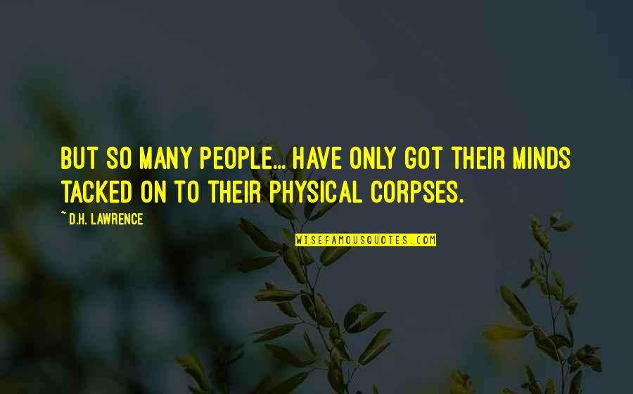 Directable Track Quotes By D.H. Lawrence: But so many people... have only got their