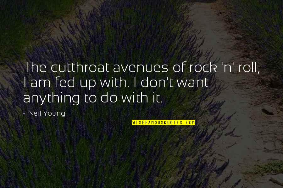 Direction And Goals Quotes By Neil Young: The cutthroat avenues of rock 'n' roll, I