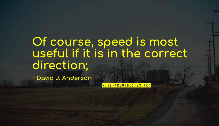 Direction And Speed Quotes By David J. Anderson: Of course, speed is most useful if it