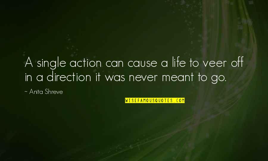 Direction In Life Quotes By Anita Shreve: A single action can cause a life to