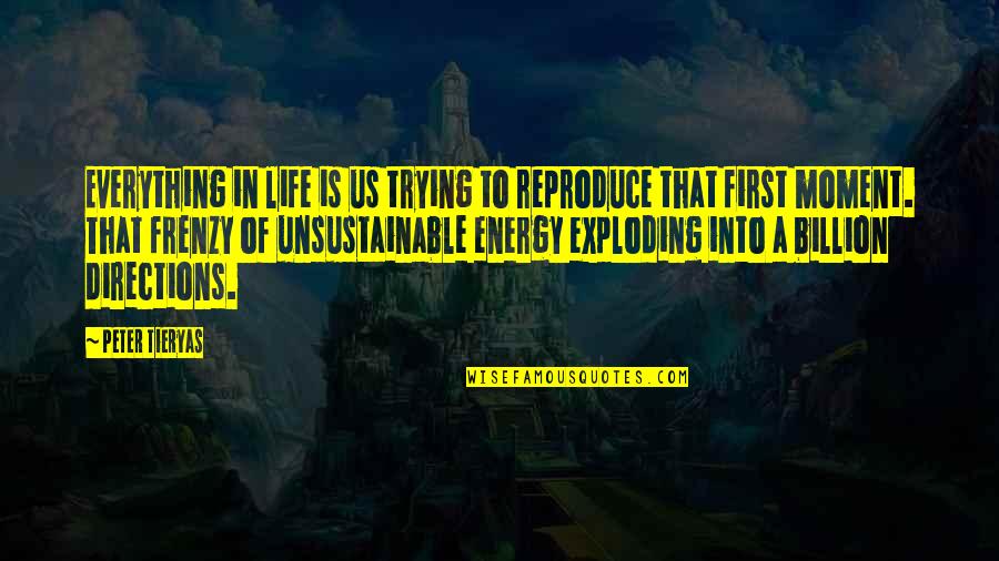 Directions In Life Quotes By Peter Tieryas: Everything in life is us trying to reproduce