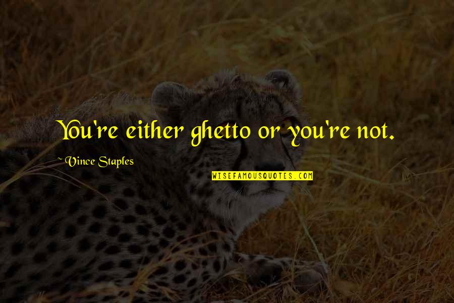 Directivos Diario Quotes By Vince Staples: You're either ghetto or you're not. Directivos Diario Quotes By Vince Staples: You're either ghetto or you're not.