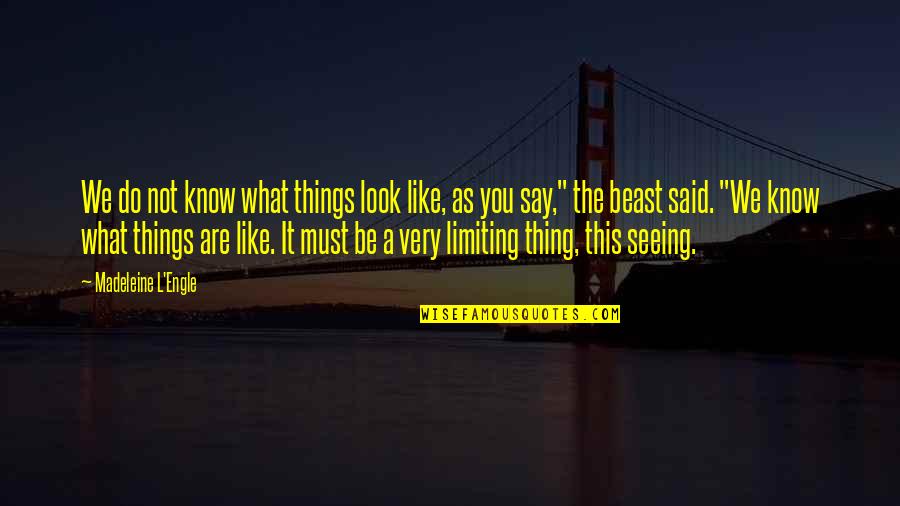 Direitos Do Trabalhador Quotes By Madeleine L'Engle: We do not know what things look like,