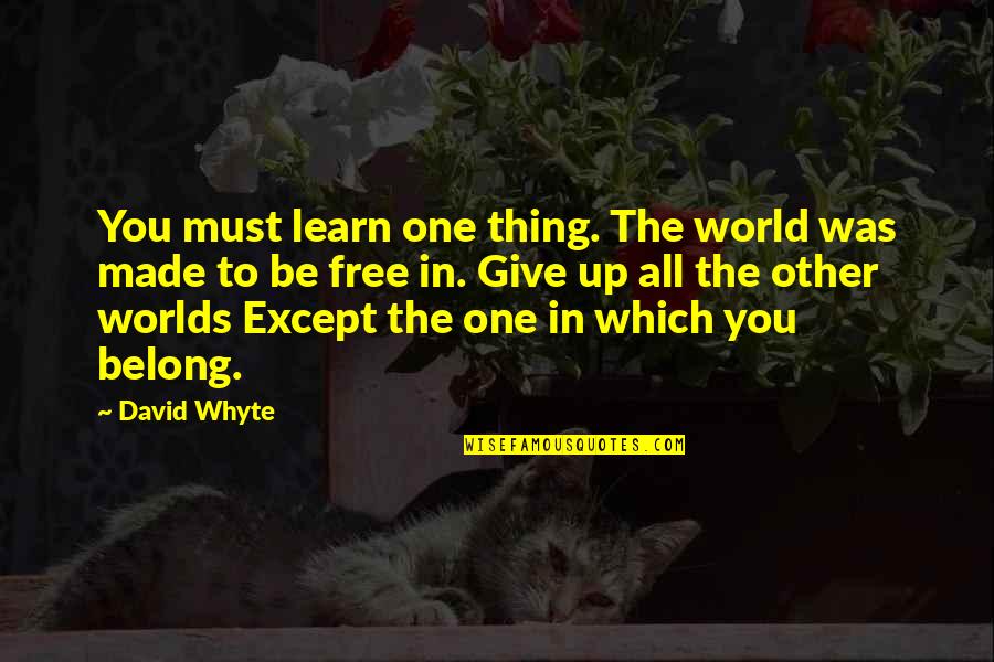 Diremoor Quotes By David Whyte: You must learn one thing. The world was