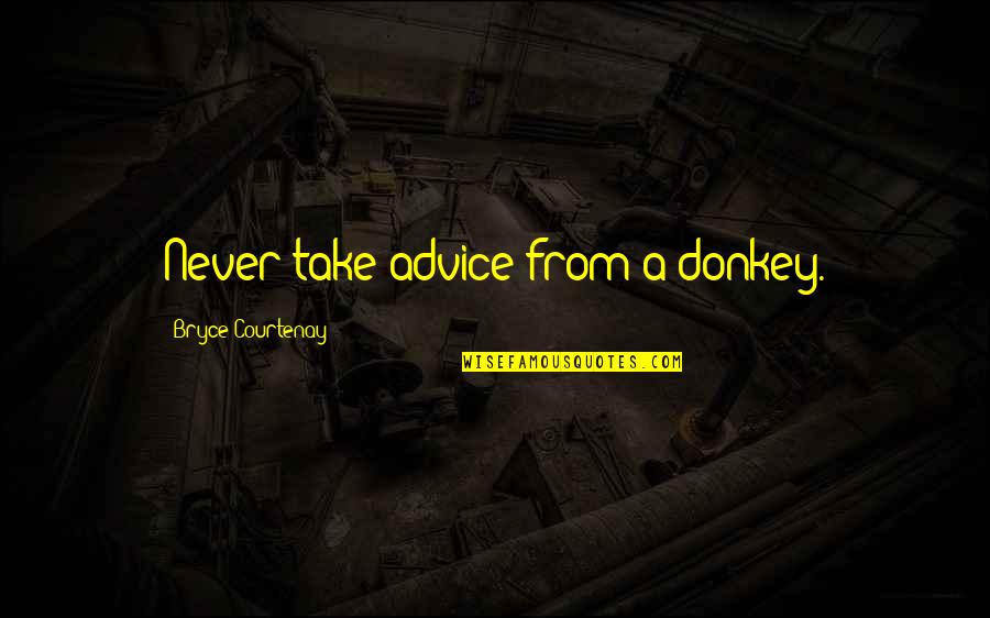Direraven Quotes By Bryce Courtenay: Never take advice from a donkey. Direraven Quotes By Bryce Courtenay: Never take advice from a donkey.