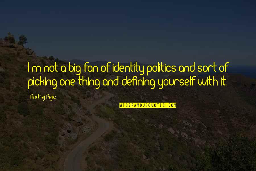 Dirimir Definicion Quotes By Andrej Pejic: I'm not a big fan of identity politics