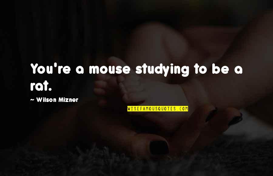 Dirnt Quotes By Wilson Mizner: You're a mouse studying to be a rat.