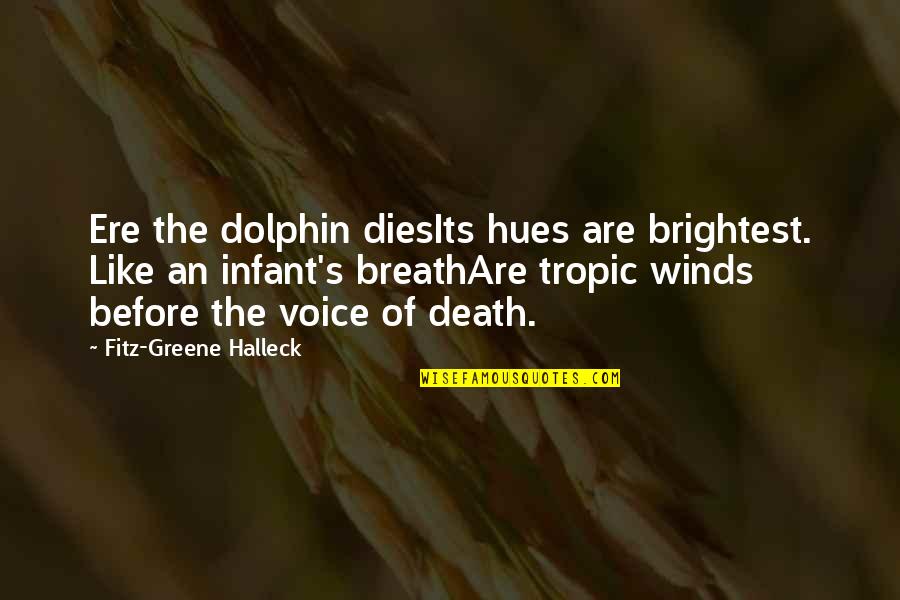 Dirst Cabins Quotes By Fitz-Greene Halleck: Ere the dolphin diesIts hues are brightest. Like