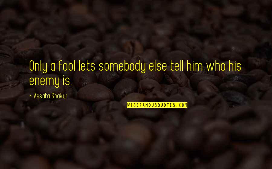 Dirt Bike Moto Quotes By Assata Shakur: Only a fool lets somebody else tell him