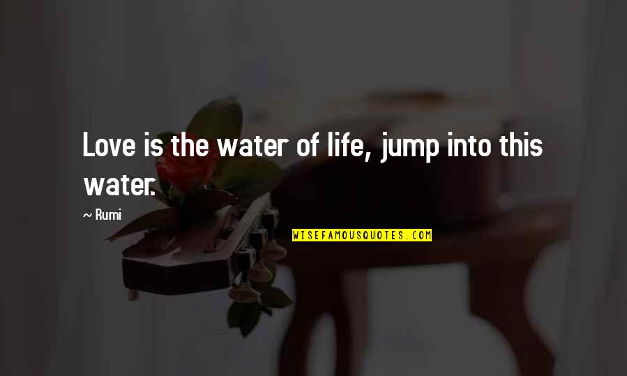 Dirtiest Country Quotes By Rumi: Love is the water of life, jump into
