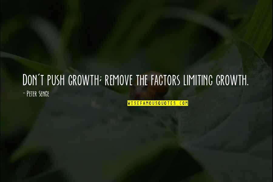 Dirtiest Senior Quotes By Peter Senge: Don't push growth; remove the factors limiting growth.