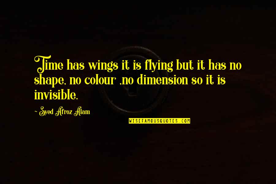 Dirtstripe Quotes By Syed Afroz Alam: Time has wings it is flying but it