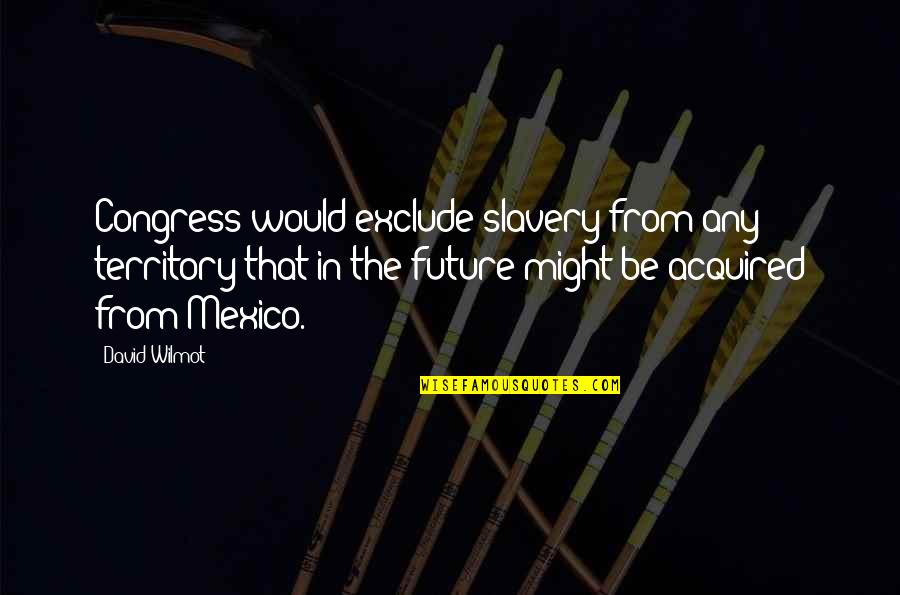Dirty Hands Tools Quotes By David Wilmot: Congress would exclude slavery from any territory that