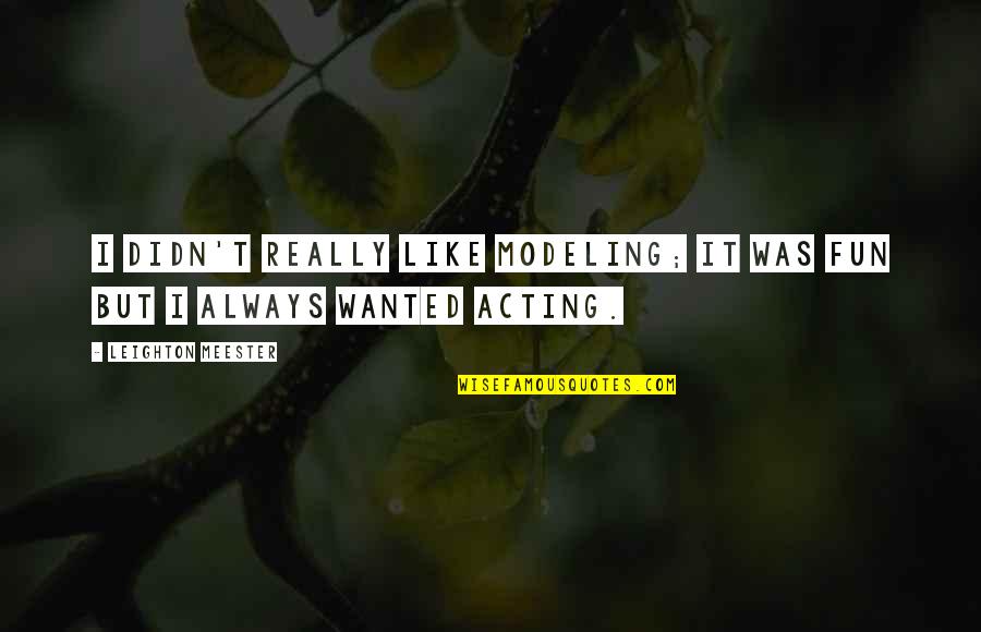 Dirty Hands Tools Quotes By Leighton Meester: I didn't really like modeling; it was fun