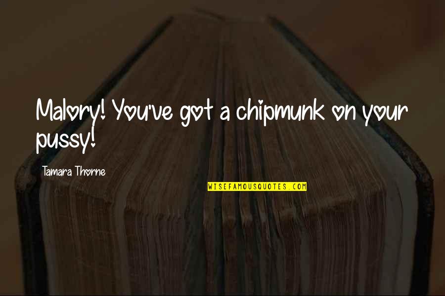 Dirty Humor Quotes By Tamara Thorne: Malory! You've got a chipmunk on your pussy!