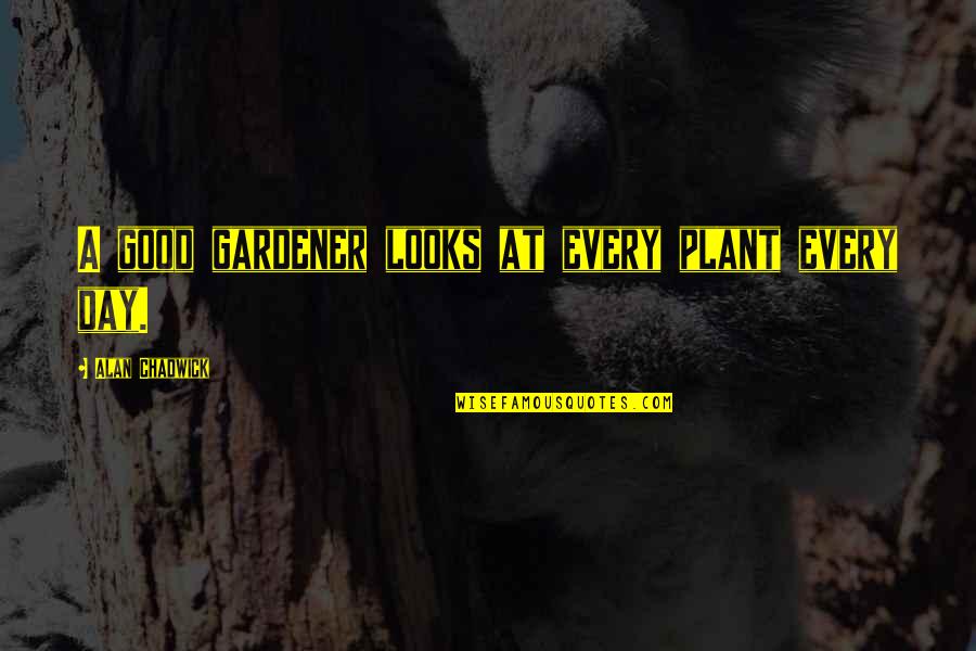Dirty Jobs Quotes By Alan Chadwick: A good gardener looks at every plant every